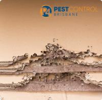 Termite Control Brisbane image 4